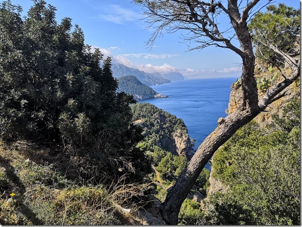 IMG_20190403_121345_ji