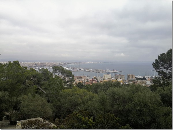 IMG_20190403_155721_ji